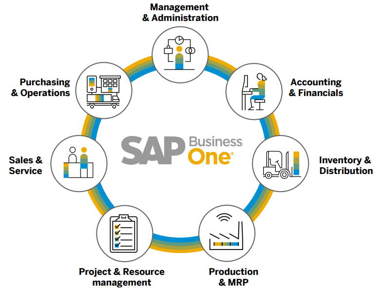 openerp vs sap business one