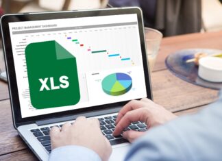 quản lý nhân sự bằng excel