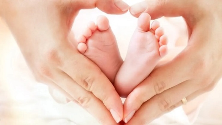 Chế độ về thai sản là một trong các chế độ, chính sách của Bảo hiểm xã hội bắt buộc
