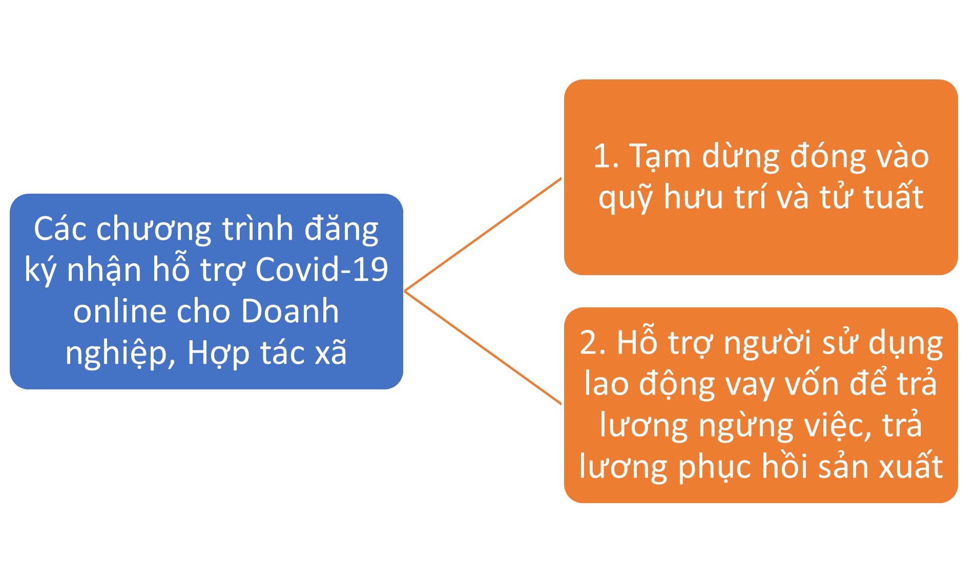 Hình 1: Các chương trình đăng ký nhận hỗ trợ covid-19 online cho Doanh nghiệp, Hợp tác xã