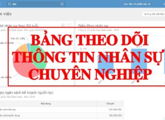 bang theo doi thong tin nhan su chuyen nghiep copy