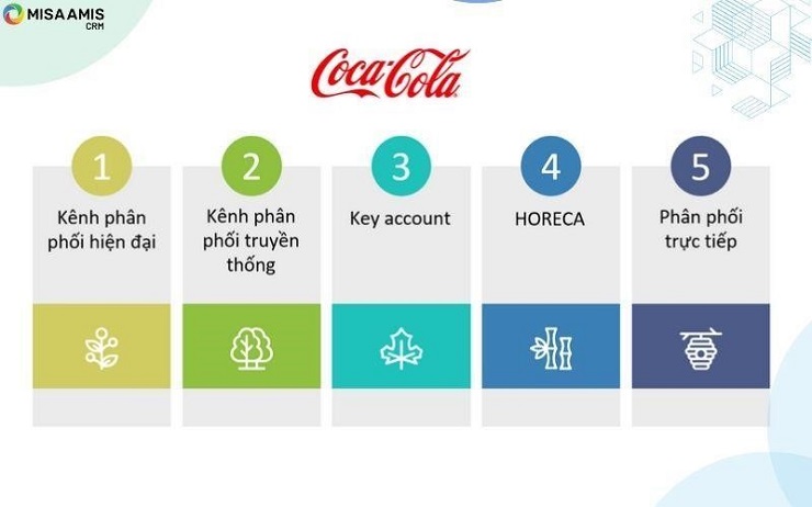 Cấu trúc kênh phân phối của Coca-Cola Việt Nam