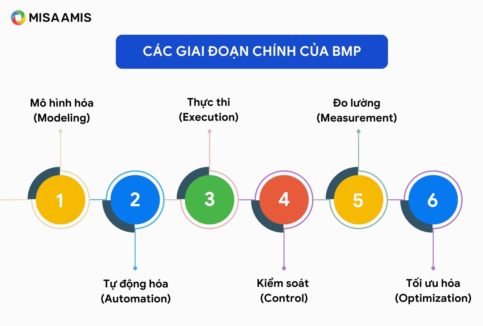 Các giai đoạn chính của BMP