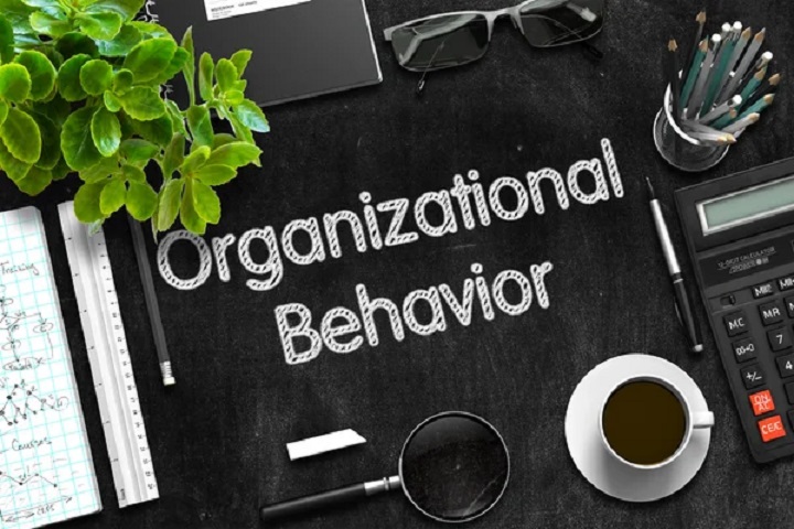 hành vi tổ chức là gì trong doanh nghiệp
