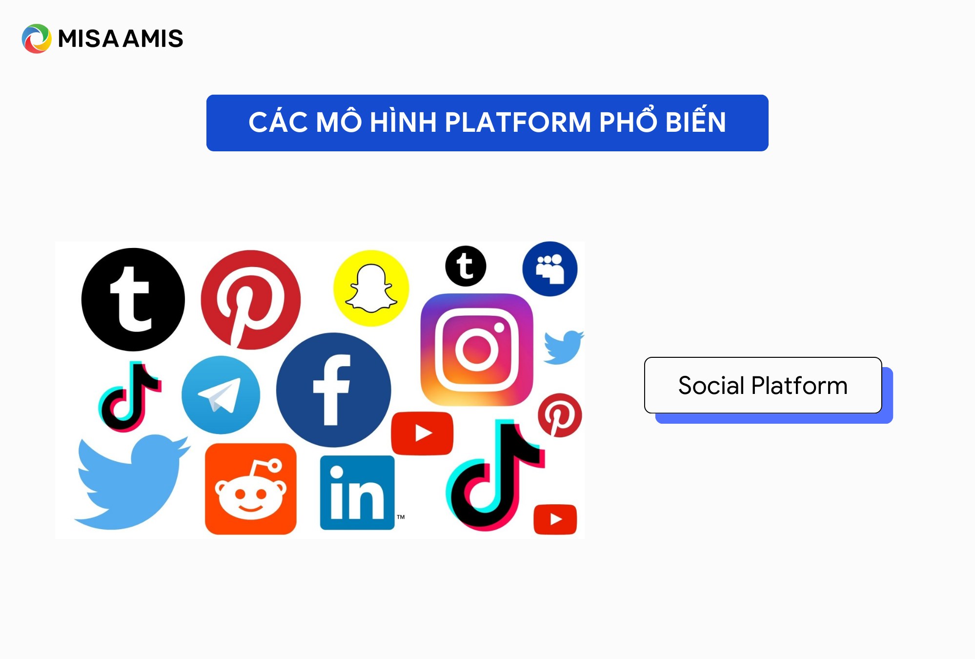 social platform