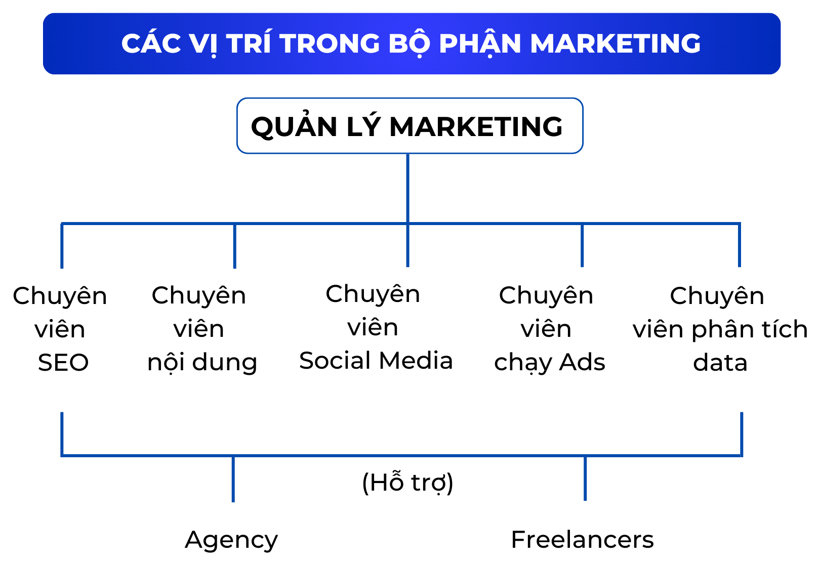 các vị trí marketing