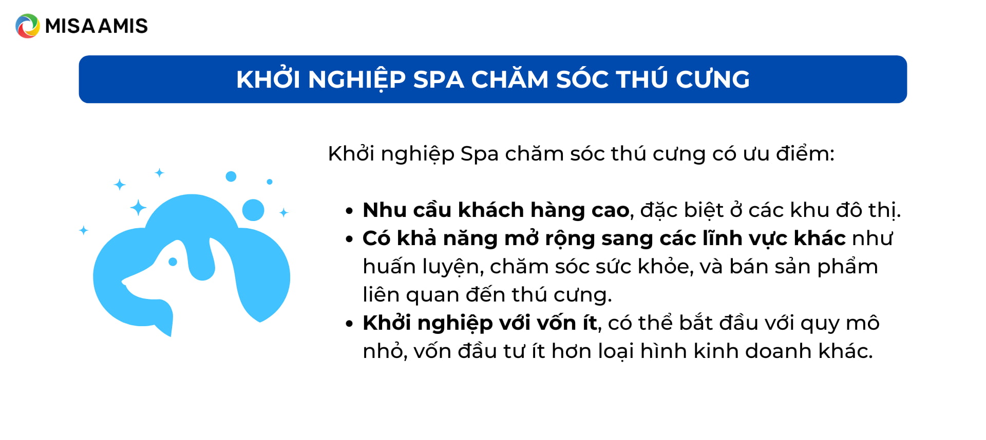 ý tưởng chăm sóc thú cưng