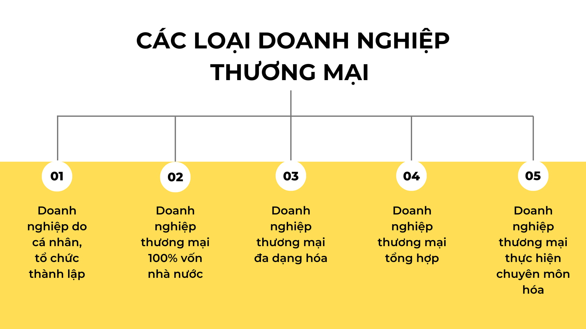 các loại hình doanh nghiệp thương mại