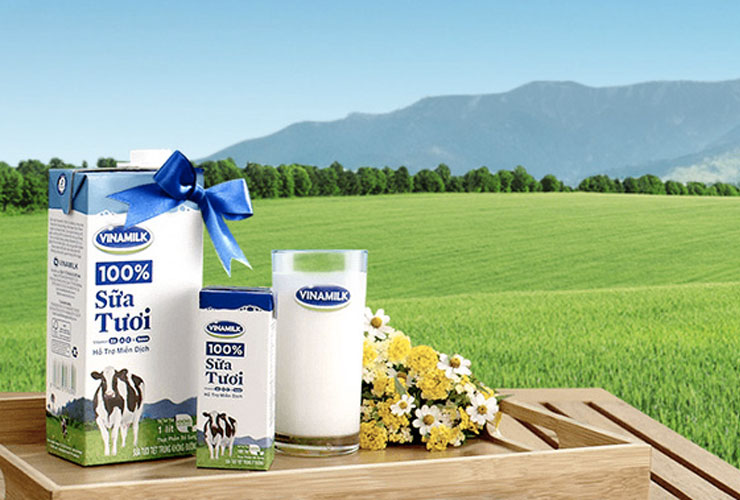Dòng doanh thu của Vinamilk đến chính từ dòng sản phẩm sữa tươi