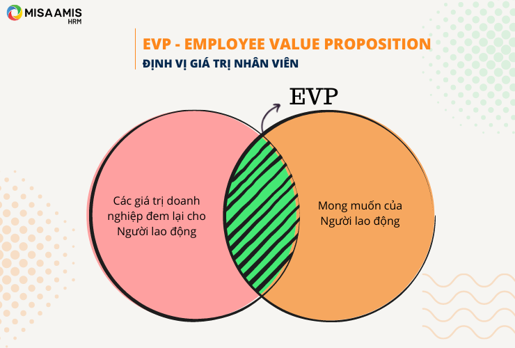EVP - Định vị giá trị nhân viên