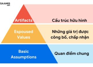 cấp độ văn hóa doanh nghiệp