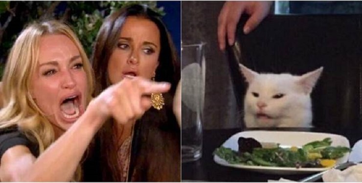 Meme “cô gái la chú mèo” trở thành hiện tượng mạng năm 2019 cho thấy sức hút khủng khiếp của meme (Nguồn: Internet)