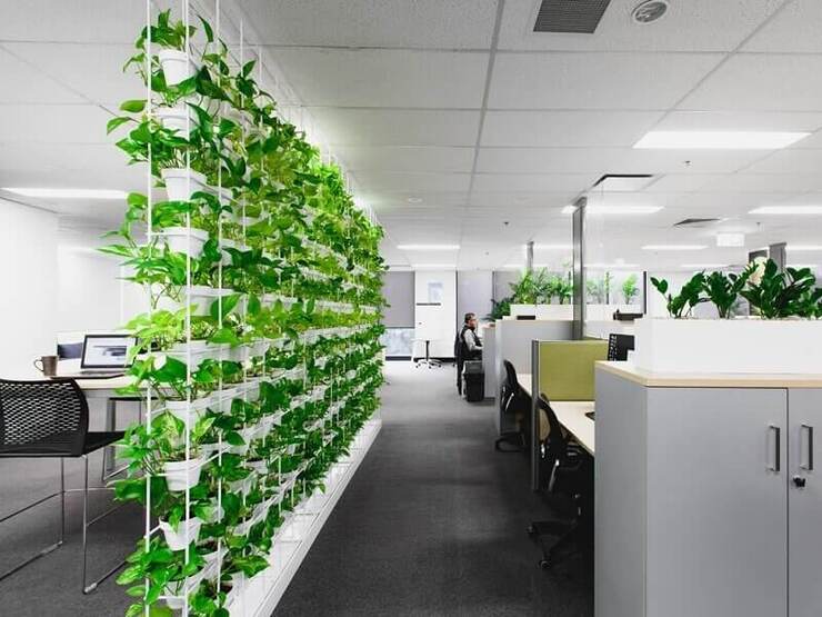 Trồng nhiều cây xanh trong văn phòng giúp nhân viên thấy thoải mái, trong lành