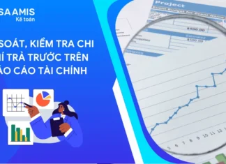 rà soát và kiểm tra chi phí trả trước trên báo cáo tài chính