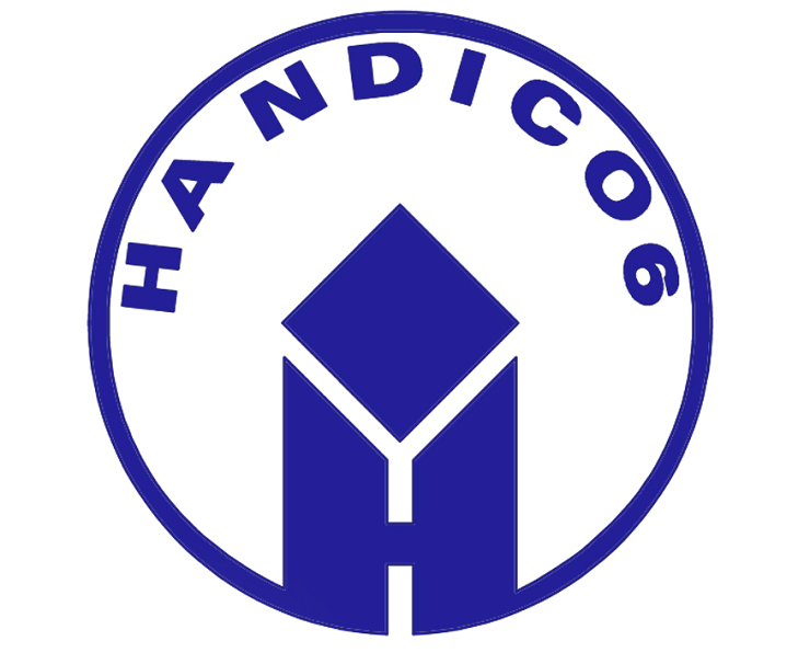 Logo HANDICO - (Nguồn: handico.com.vn)