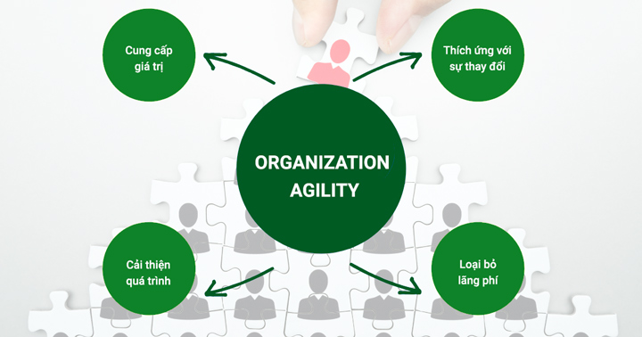Organization Agility là gì
