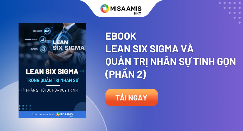 Ebook Lean Six Sigma p2