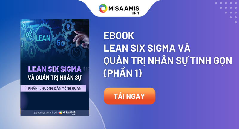 ebook Lean Six Sigma