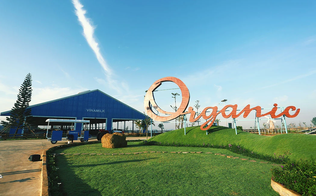 Chiến lược chi phí thấp của Vinamilk