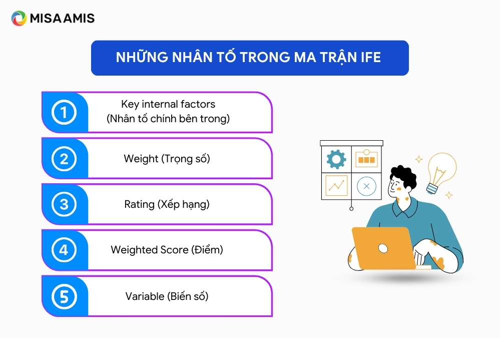 Nhân tố ma trận IFE