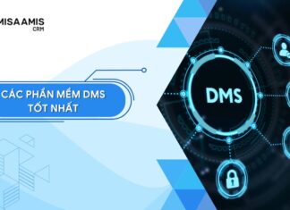 phần mềm dms