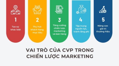 Vai trò của CVP trong marketing