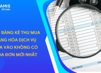 Mẫu bảng kê thu mua hàng hóa dịch vụ mua vào không có hóa đơn