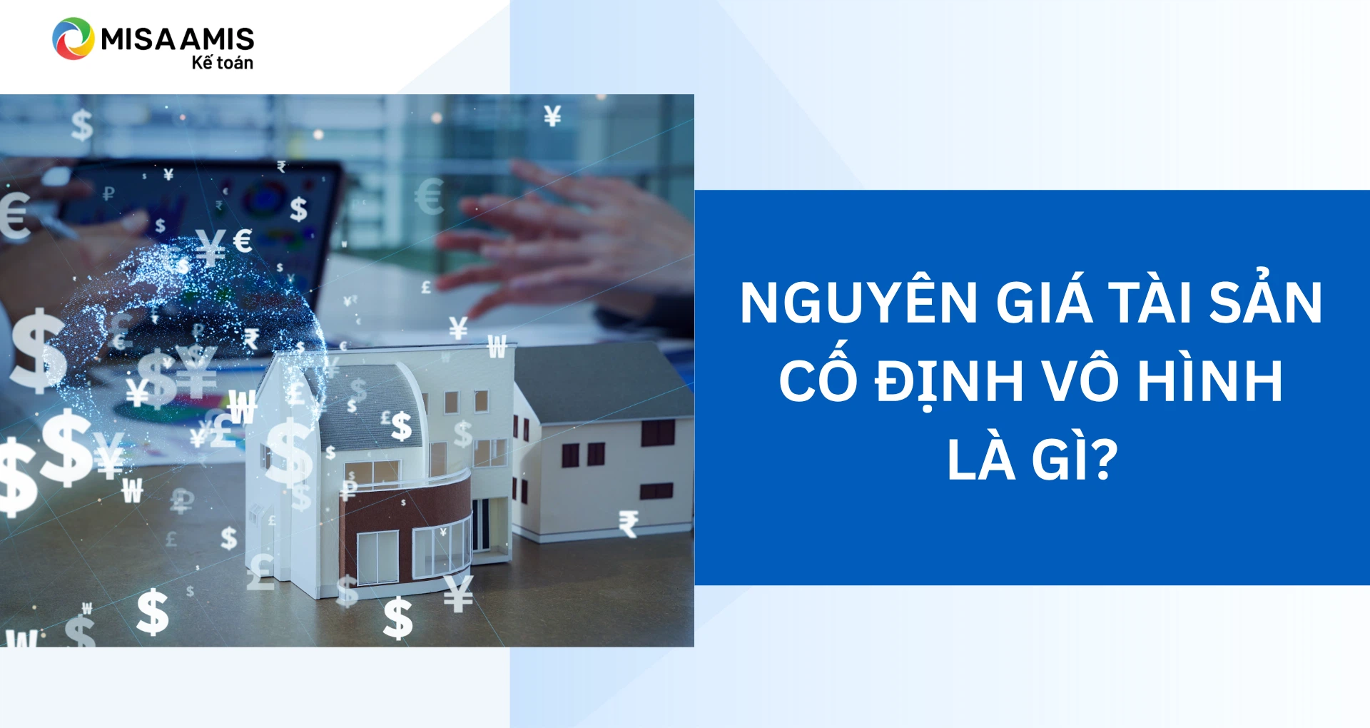 Nguyên giá tài sản cố định vô hình