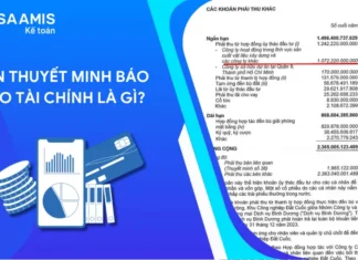 bản thuyết minh báo cáo tài chính là gì