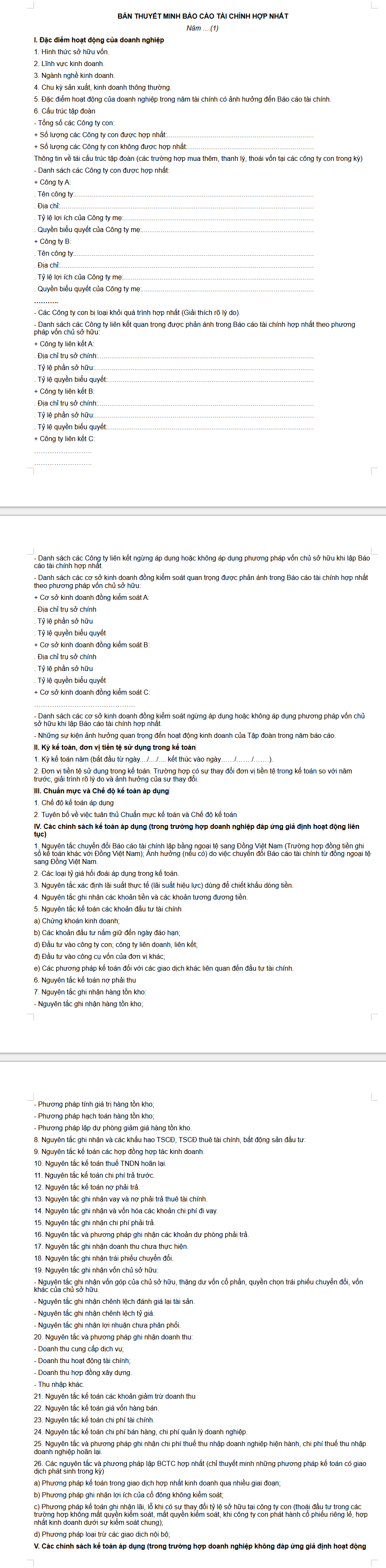 mẫu bản thuyết minh báo cáo tài chính hợp nhất