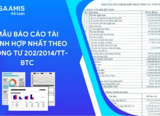 mẫu báo cáo tài chính hợp nhất
