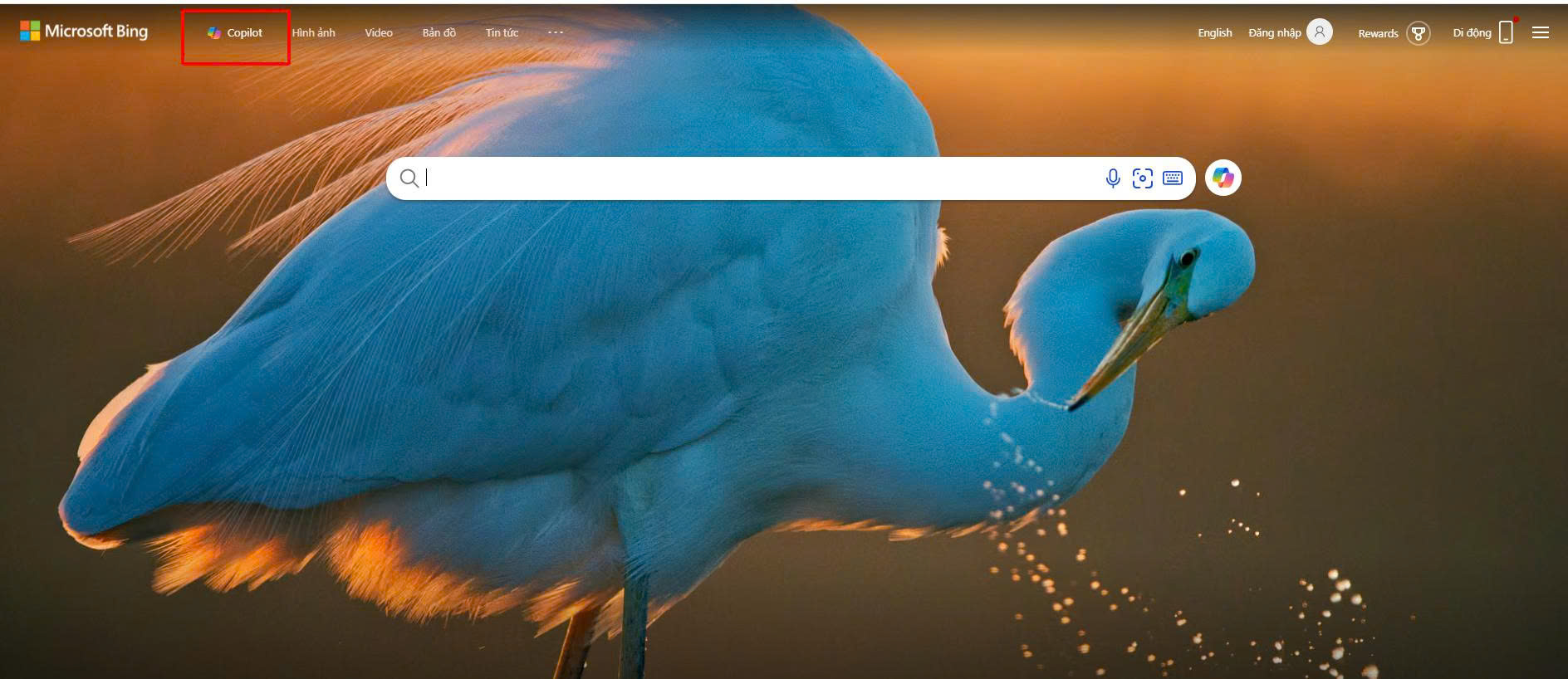 Copilot trên Bing Search