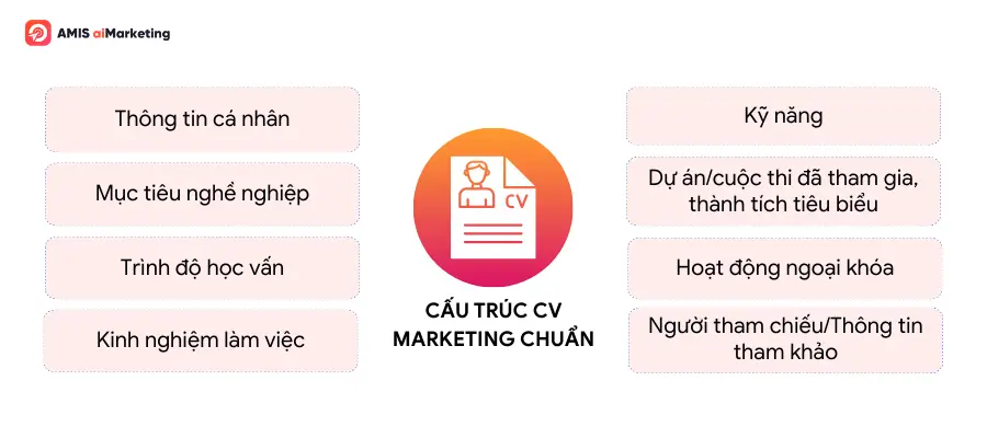 Cấu trúc mẫu CV Marketing chuẩn 
