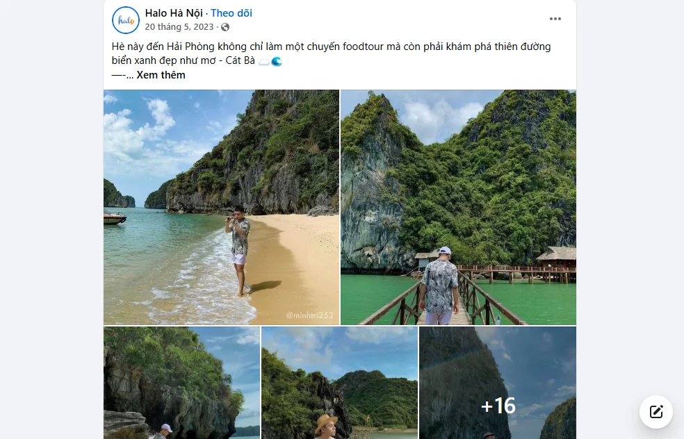 Mẫu quảng cáo Halo Hà Nội về cung cấp kiến thức