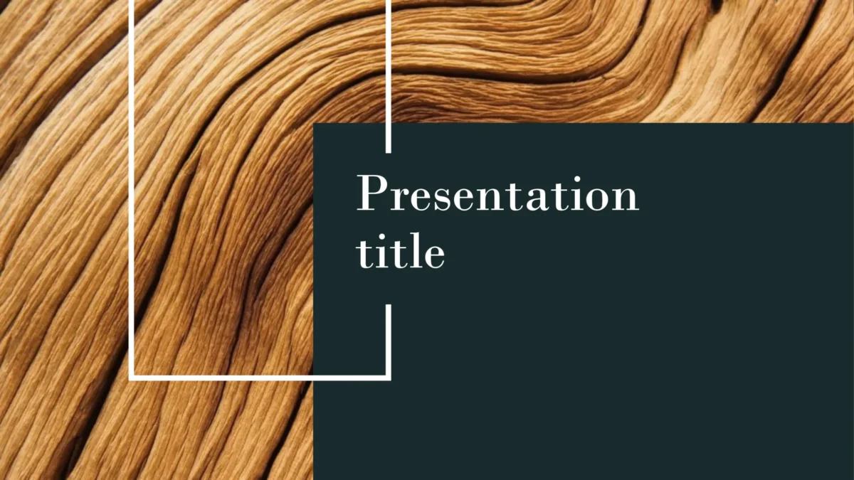 Thiết kế hình ảnh và bố cục