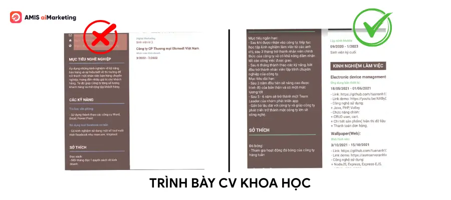 Mẫu CV Marketing khoa học