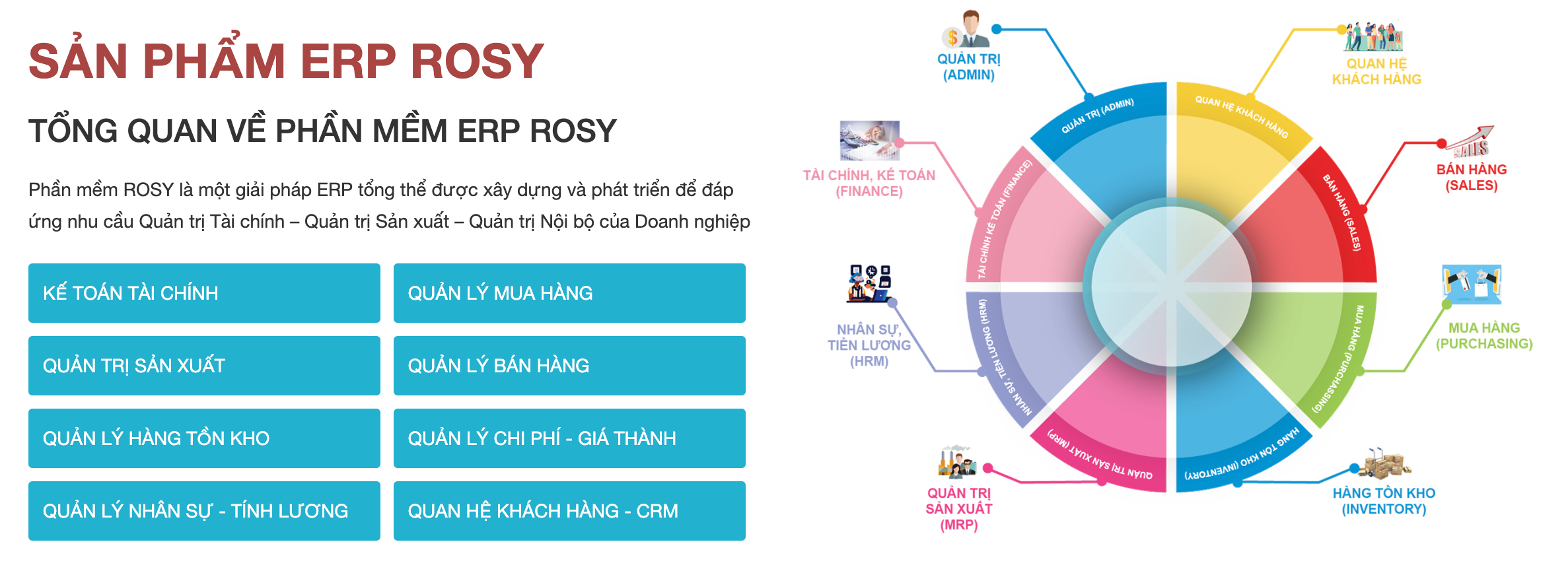 Phần mềm quản lý sản xuất gỗ ROSY ERP