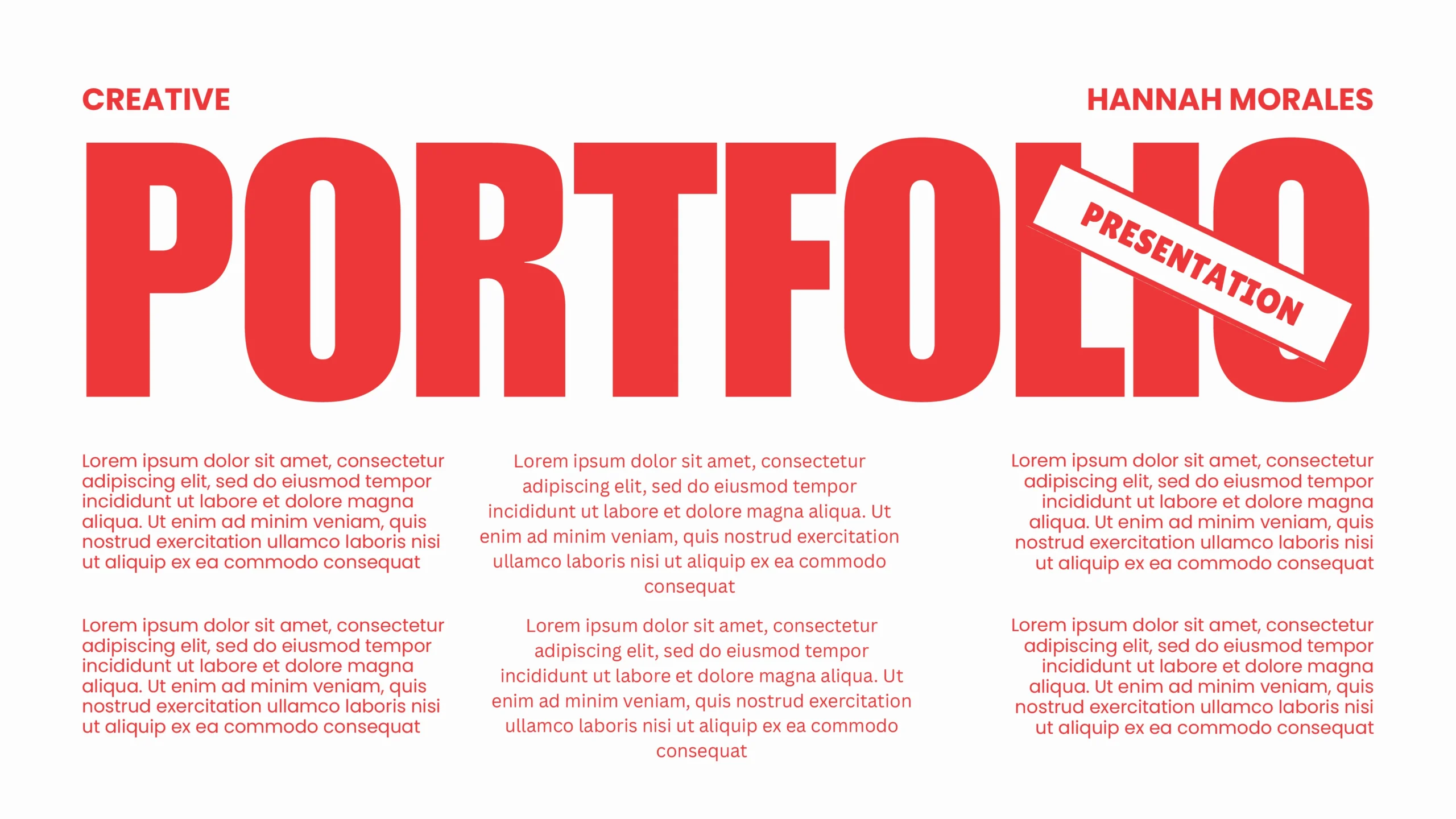 portfolio có quá nhiều chữ