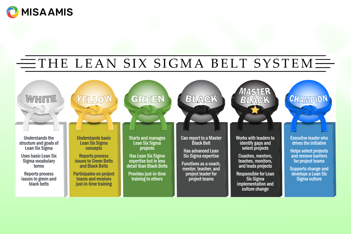 Hệ thống đai trong Lean Six Sigma