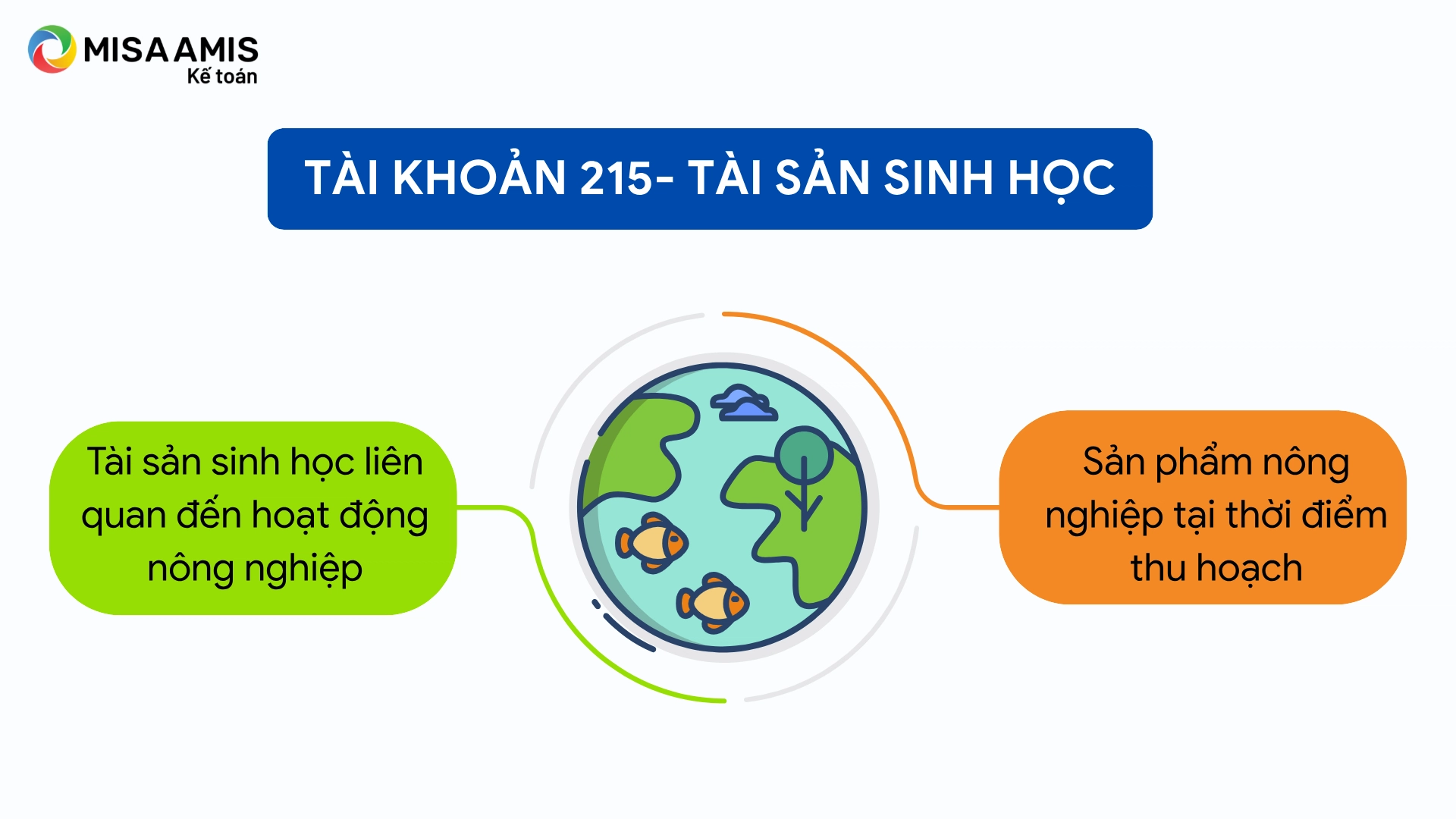 Tài khoản 215 là gì?