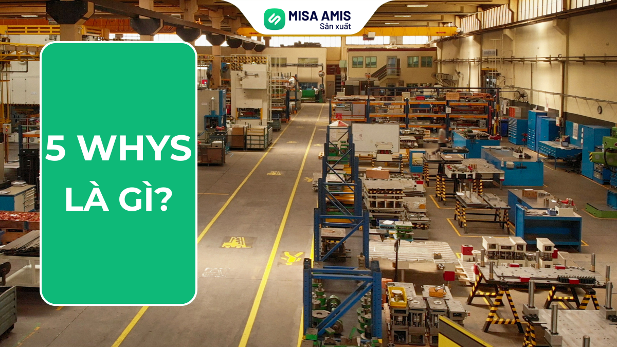 5 Whys là gì?