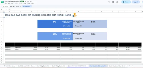Mẫu báo cáo đánh giá mức độ hài lòng của khách hàng