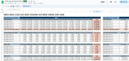 Mẫu báo cáo dự báo doanh số bán hàng dài hạn